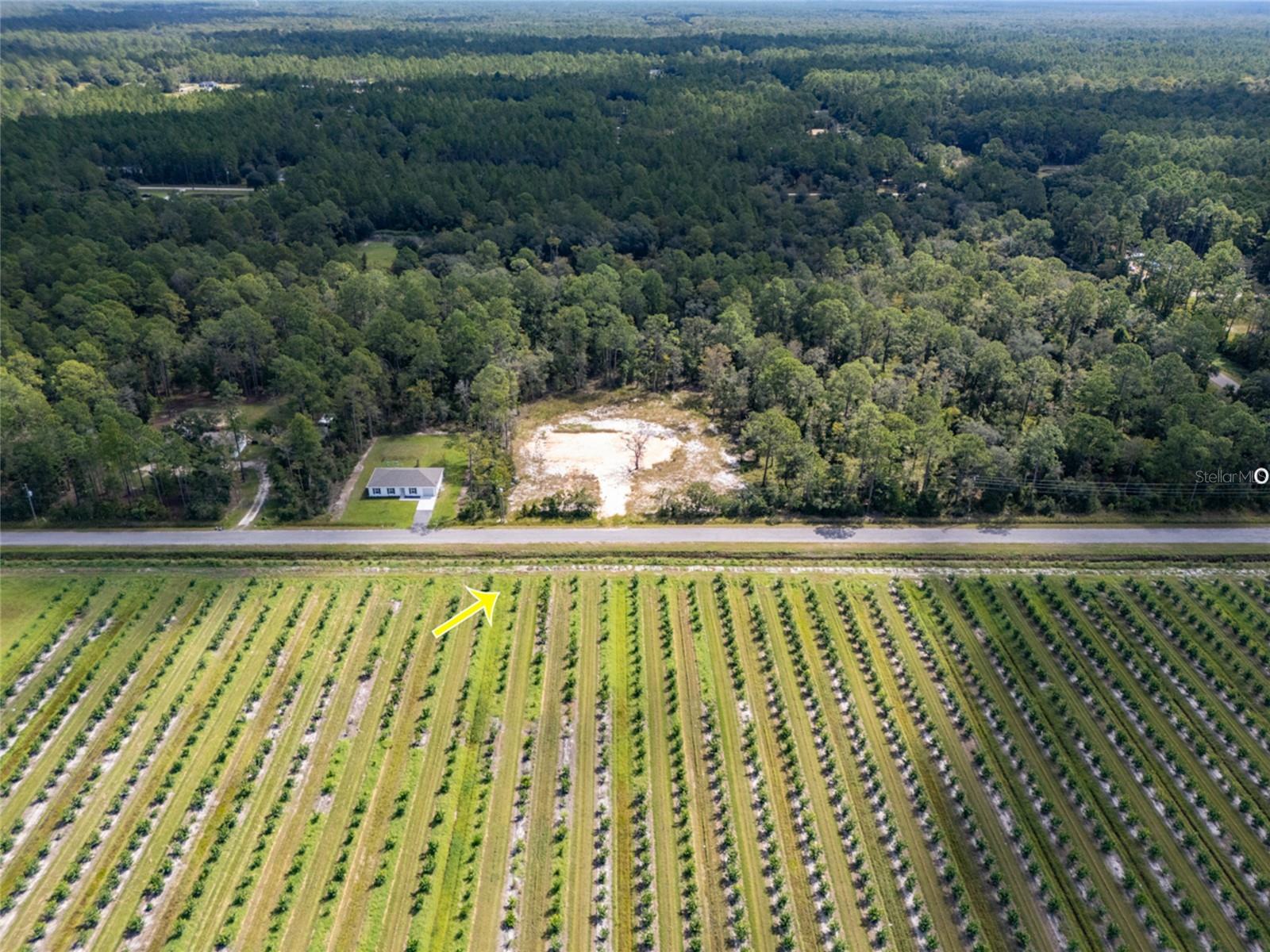 FLAGLER ESTATES - Land