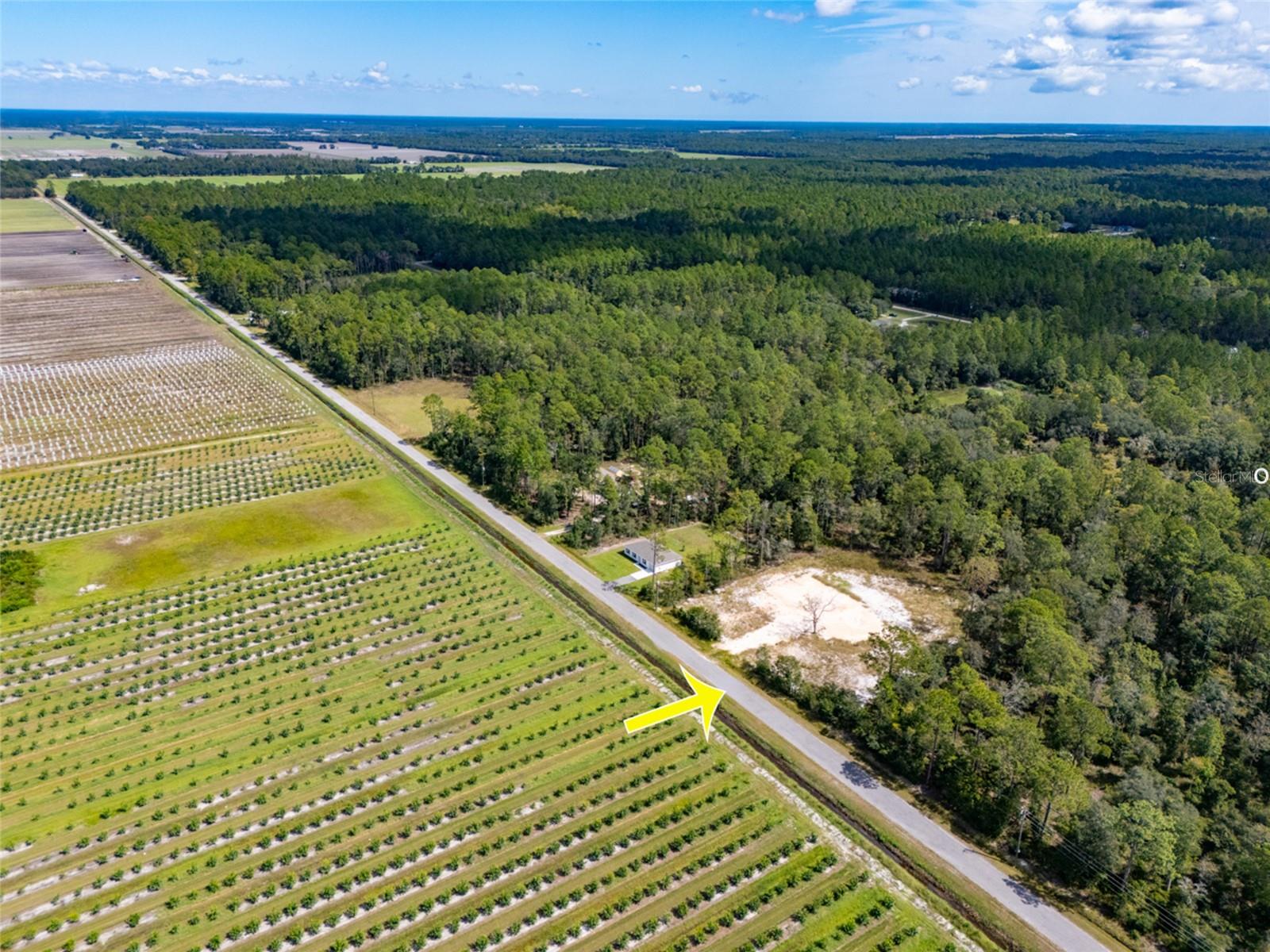 FLAGLER ESTATES - Land