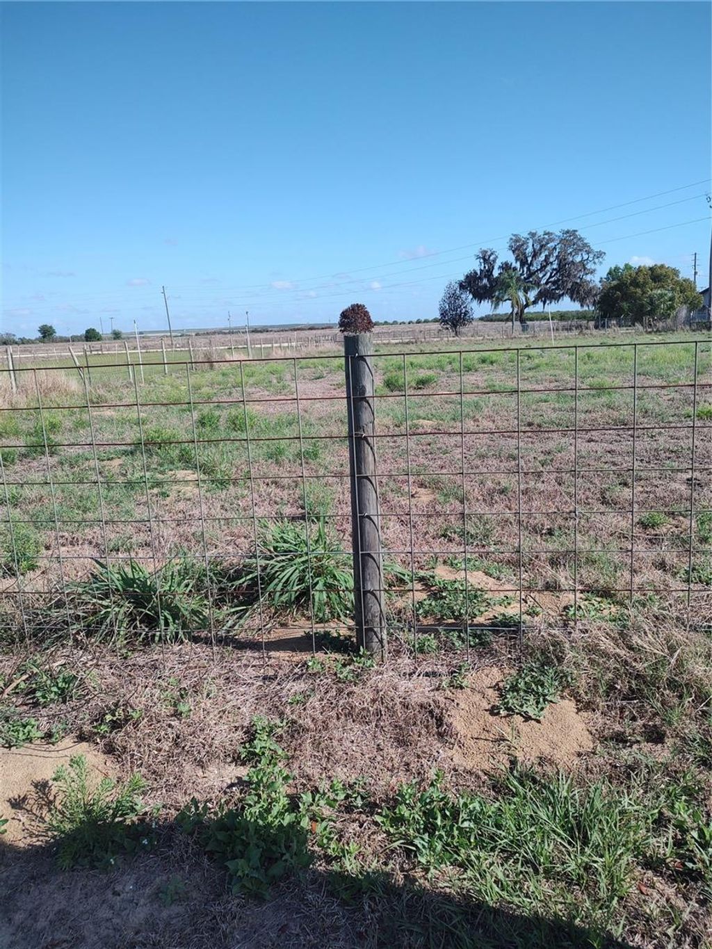 Photo of Mullinsville Rd., Frostproof, FL 33843 (MLS # K4903384)