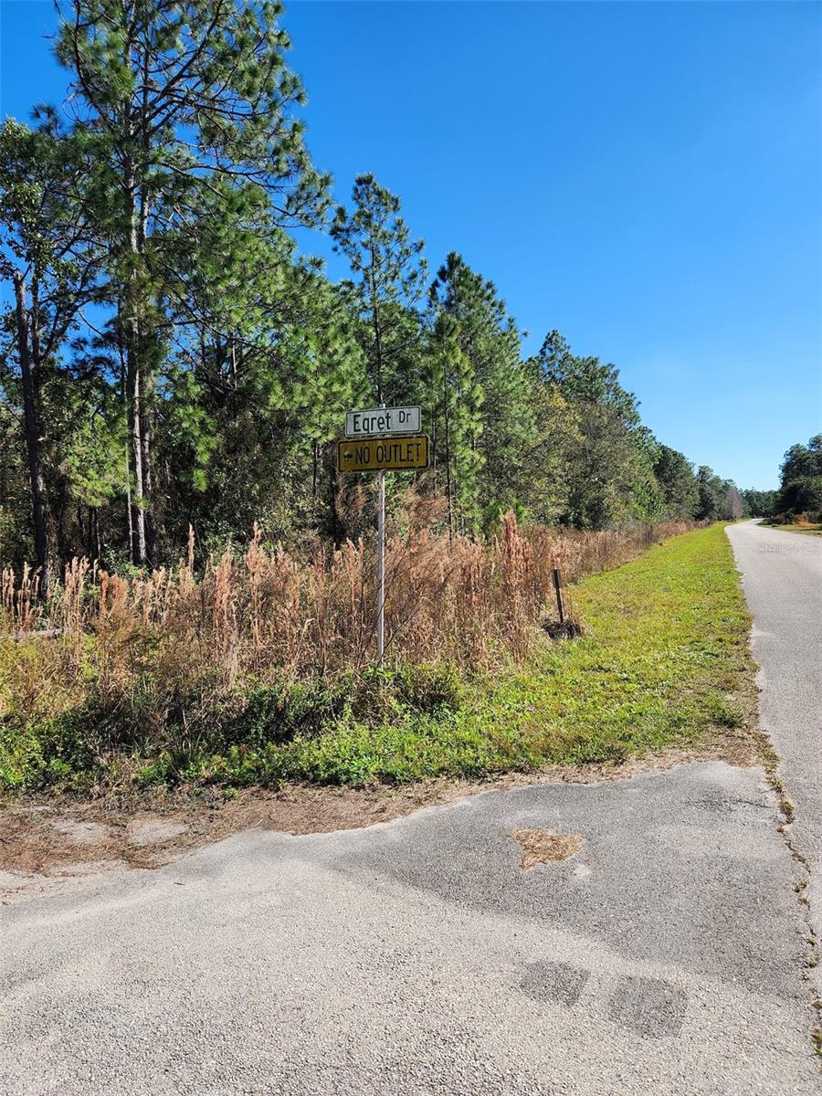 PRESERVE AT LAKE CALOOSA - Land