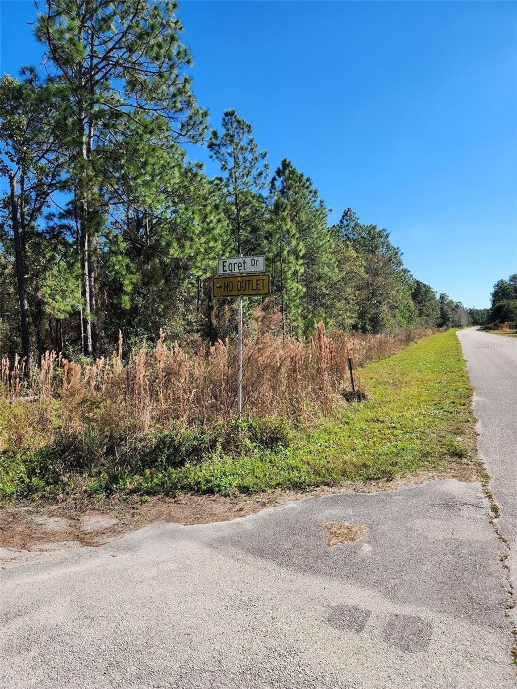 Photo of Egret Drive, Frostproof, FL 33843 (MLS # S5147891)