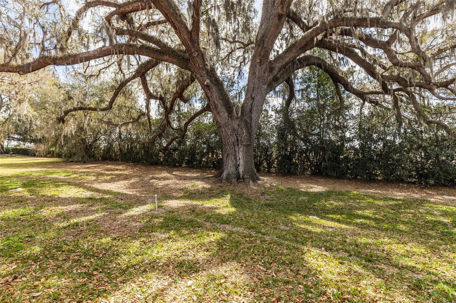 WATERGRASS PCLS B-5 & B-6 - Residential