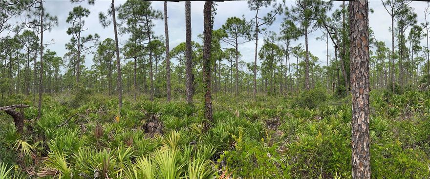 Auction Property. PRIME DEVELOPMENT TRACT IN LEE CO, FL - 12.02 ACRES
Bid Now - Ranch and Farm AuctionsBid Now

AUCTION DATE
12
January
Bid Now - Ranch and Farm AuctionsBid Now
12.02 ACRES / LEE COUNTY, FL

Live and Online at Ranchandfarmauctions.com

Auction Date:01/12/2024 Auction Time: 1:00 PM EST

Auction Location: Burnt Store Lakes Community Room, Turtle Crossing Plaza, 16500 Burnt Store Rd, Unit #101 Punta Gorda, FL 33955

Entire Farm Description:

Prime Road Frontage conveniently located between Cape Coral and Punta Gorda. Great opportunity for developers and investors! This 12.02 +/- acres parcel is located in the City of Cape Coral, FL - Lee County bordering Charlotte County. This property has utilities service at the road coming from Charlotte County which will hook up to during the development process. This is an ideal opportunity for a multi-use property. Cape Coral, Florida is one of the fastest-growing cities in the United States. Currently one of the largest cities in the state of Florida with nearly 222,000 residents. The largest city located between Miami and Tampa. Burnt Store Road - the future for economic development. The Burnt Store Road Corridor, extending approximately 8 miles northward from Pine Island Road to the Charlotte County line represents the future of economic development in the Cape. Approximate property size is 12.02 +/- acres.

Area Information:

Fastest Growing Cities in the U.S

Cape Coral, Florida
Cape Coral, known for its many canals, is a city in southwest Florida. Between 2021 and 2022, the city's population increased by 6.4% from 203,975 to 216,992. The city is well-known for its affordable housing, waterfront properties, nice climate, low crime rate, outdoor pursuits, and immaculate beaches.
Bidders may participate in the auction on-site or online at Ranchandfarmauctions.com
Onsite bidders should bring a government-issued ID
10% down payment immediately after auction - cash, personal, or business checks accepted
If the winning bid is online, you will be immediately contacted to make arrangements for the 10% down payment and a purchase contract will be sent via DocuSign
High bidder has 30 days to close unless otherwise noted
Announcements on auction day will take precedence over any prior announcements
This is a no contingency sale and is not subject to financing or additional inspections
Possession at closing, subject to tenant’s rights, if any
If a survey is needed it will be done following the auction and the total purchase price will be adjusted to the surveyed acres
All information provided is derived from sources believed correct but is not guaranteed or warranted - Bidders shall rely entirely on their own information and judgments
Prime Location
Businesses opportunity
Investment opportunity
Major Road Frontage
Utilities at property line
On Lee and Charlotte County line
Zoned Multi-Purpose
Fastest Growing Area in Southwest Florida