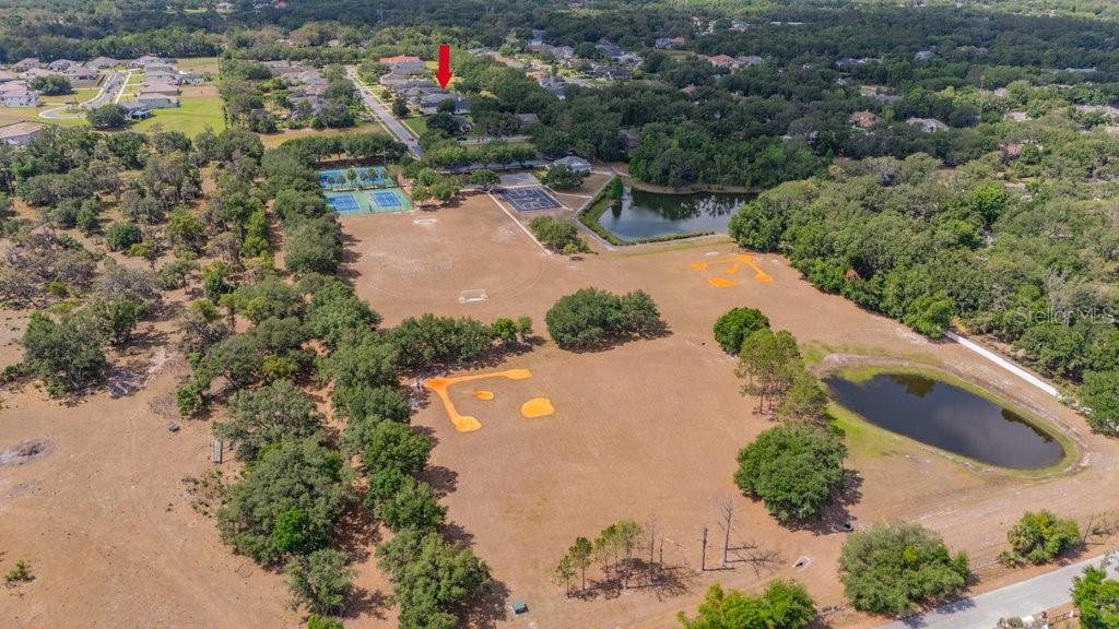 FISH HAWK TRAILS - Residential