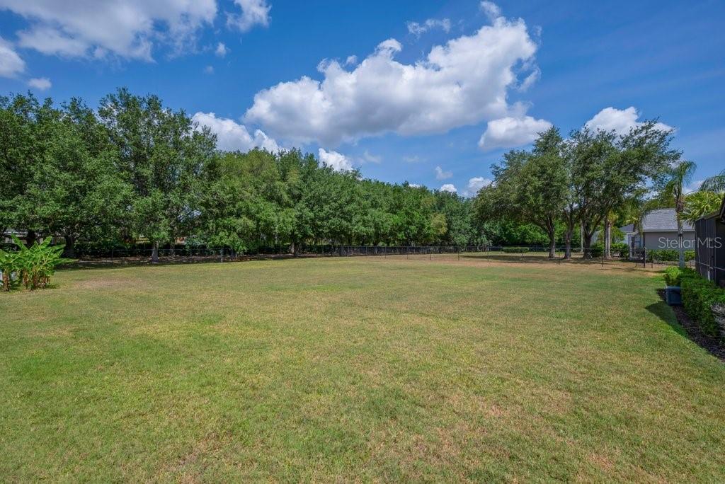 FISH HAWK TRAILS - Residential