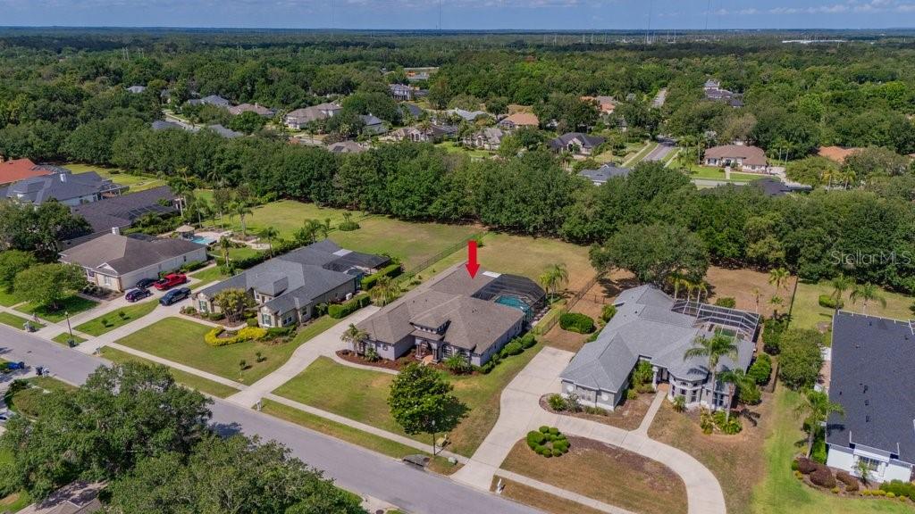 FISH HAWK TRAILS - Residential