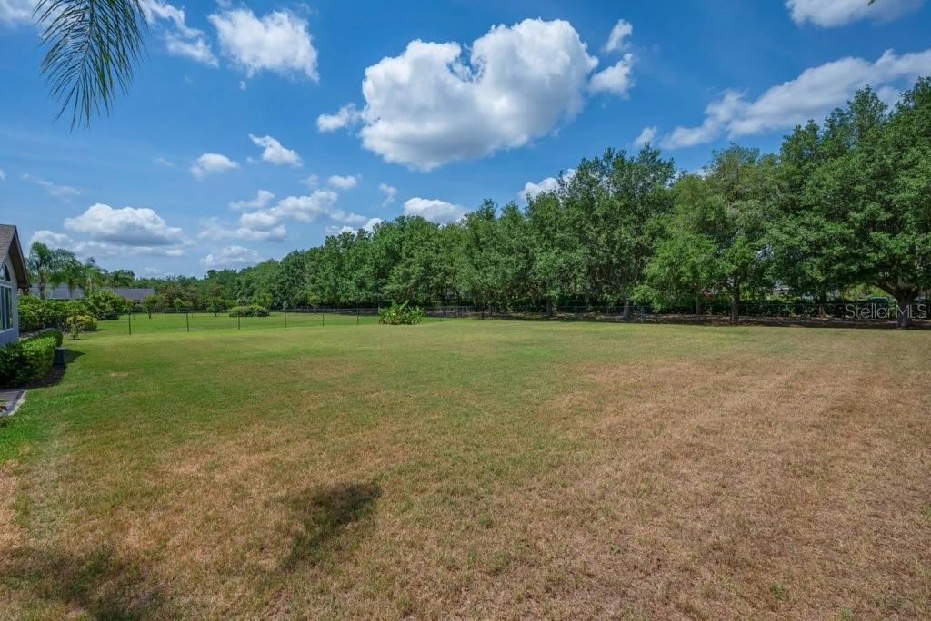 FISH HAWK TRAILS - Residential