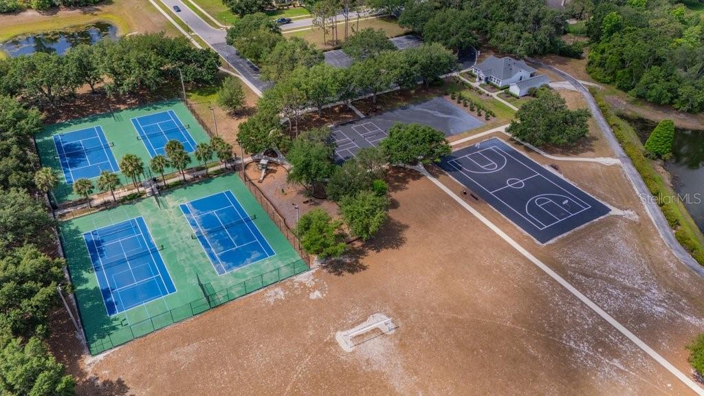 FISH HAWK TRAILS - Residential