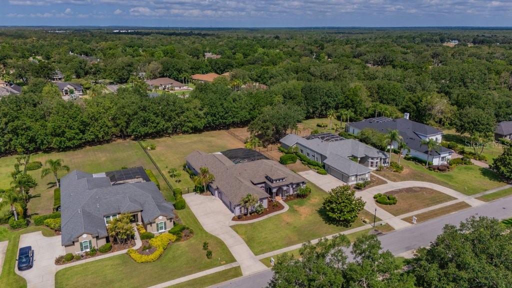 FISH HAWK TRAILS - Residential