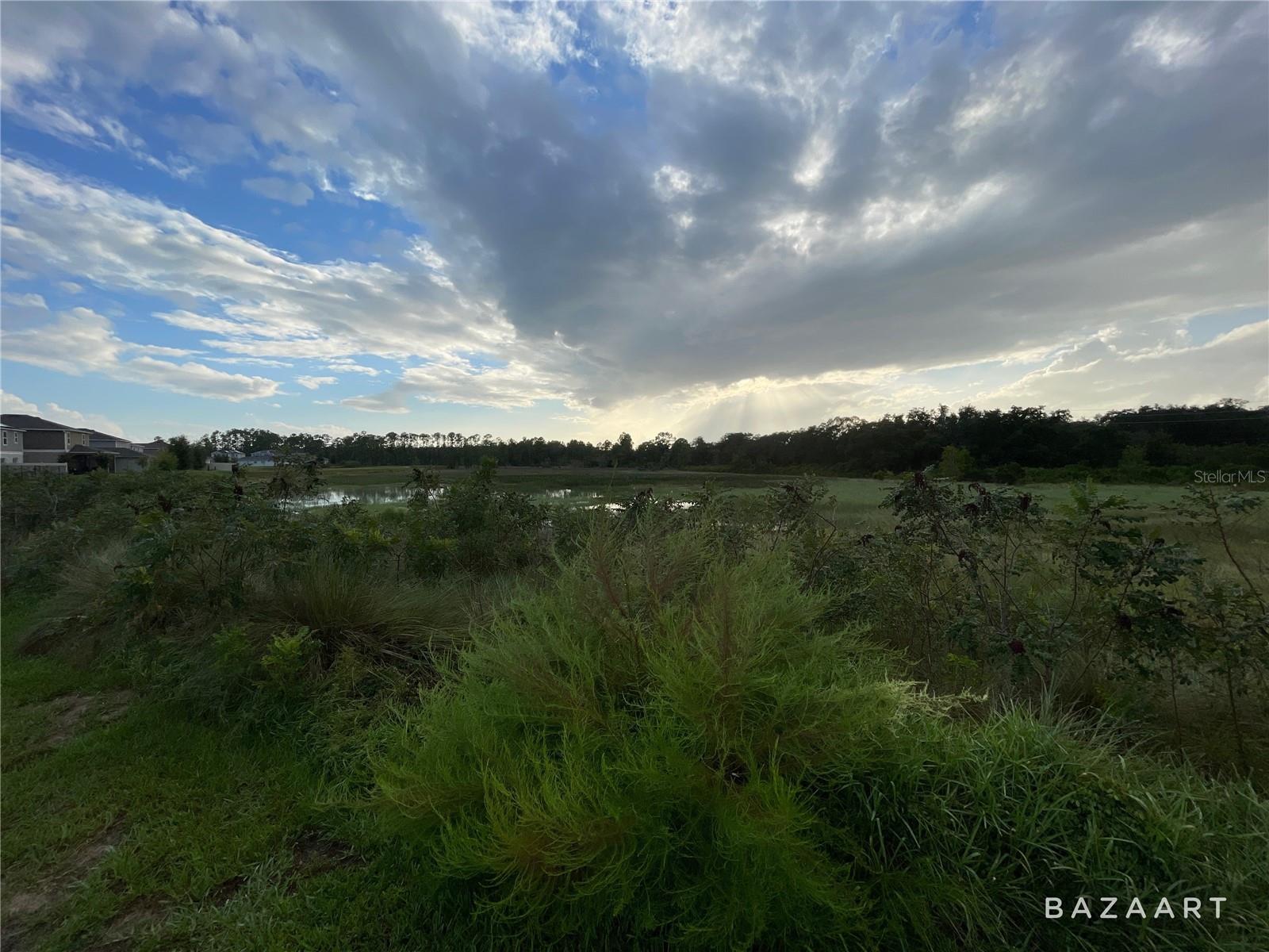 1365 SAWGRASS HAMMOCK LANE