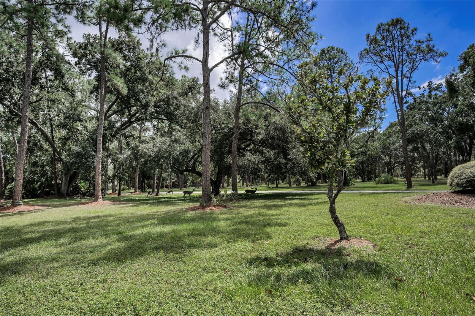 ANCHORAGE OF TARPON LAKE UNIT ONE THE - Residential