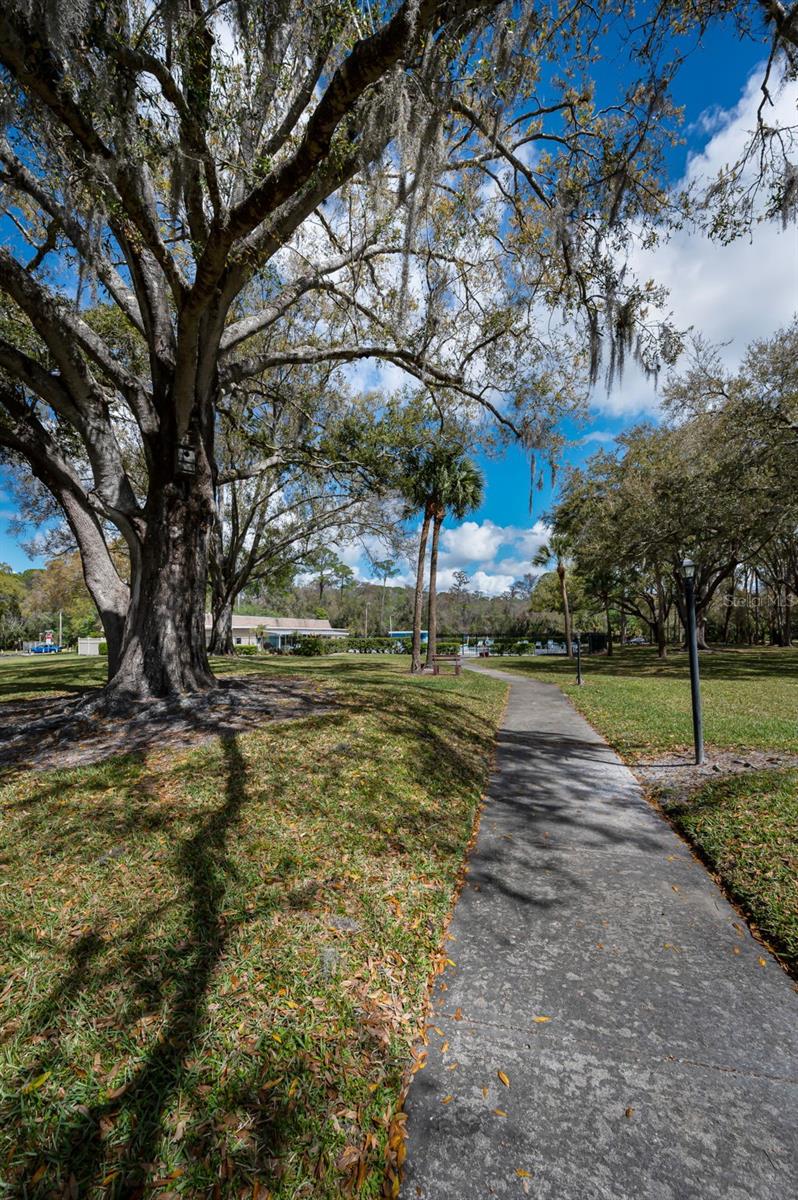 ANCHORAGE OF TARPON LAKE UNIT ONE THE - Residential