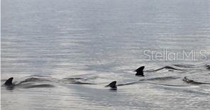 POINTE ALEXIS NORTH PH III - Residential