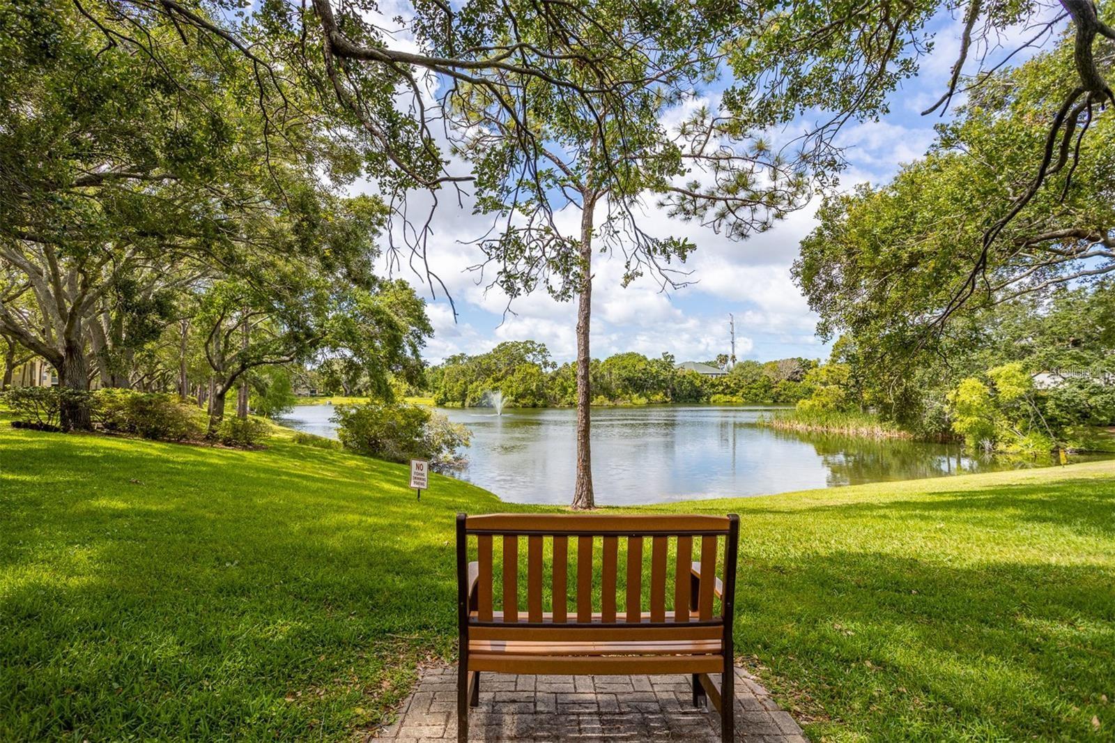 MEADOWLAKE PALM HARBOR CONDO - Residential