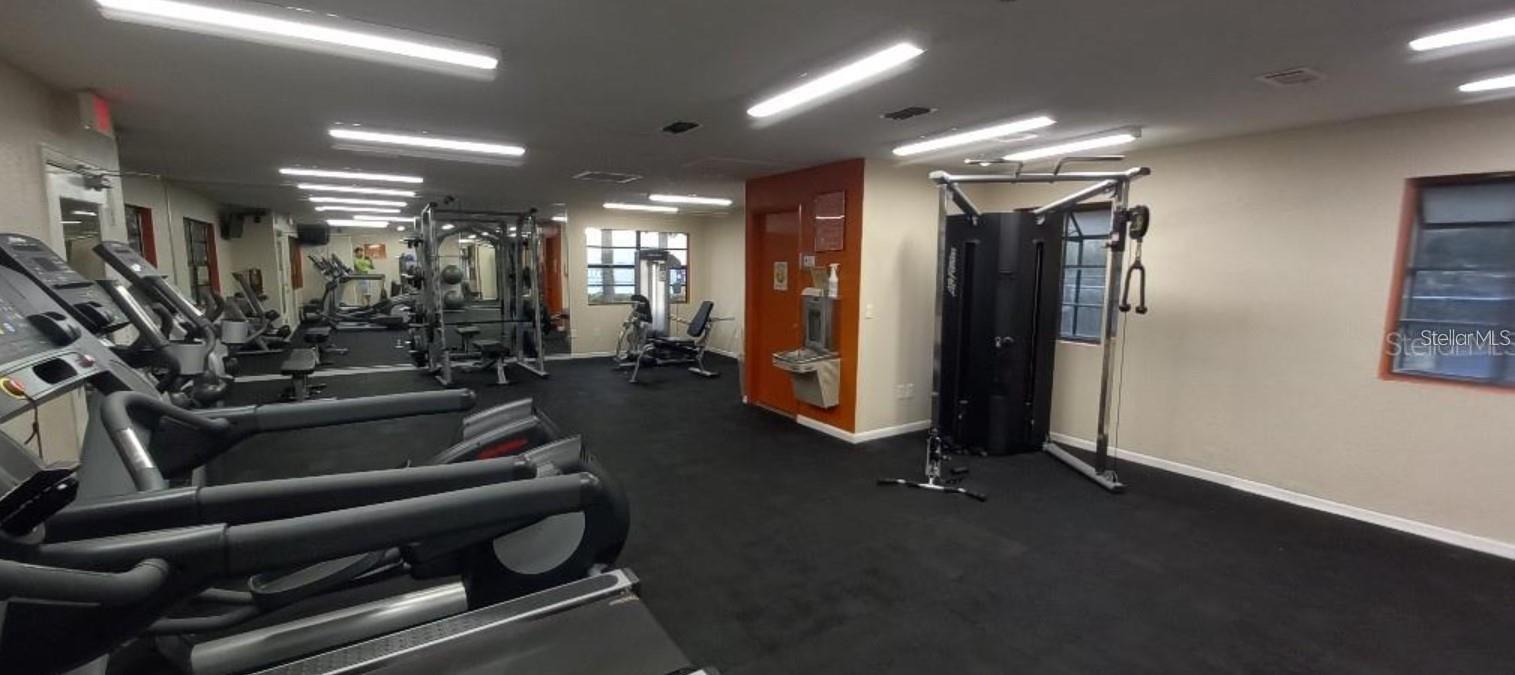 MEADOWLAKE PALM HARBOR CONDO - Residential
