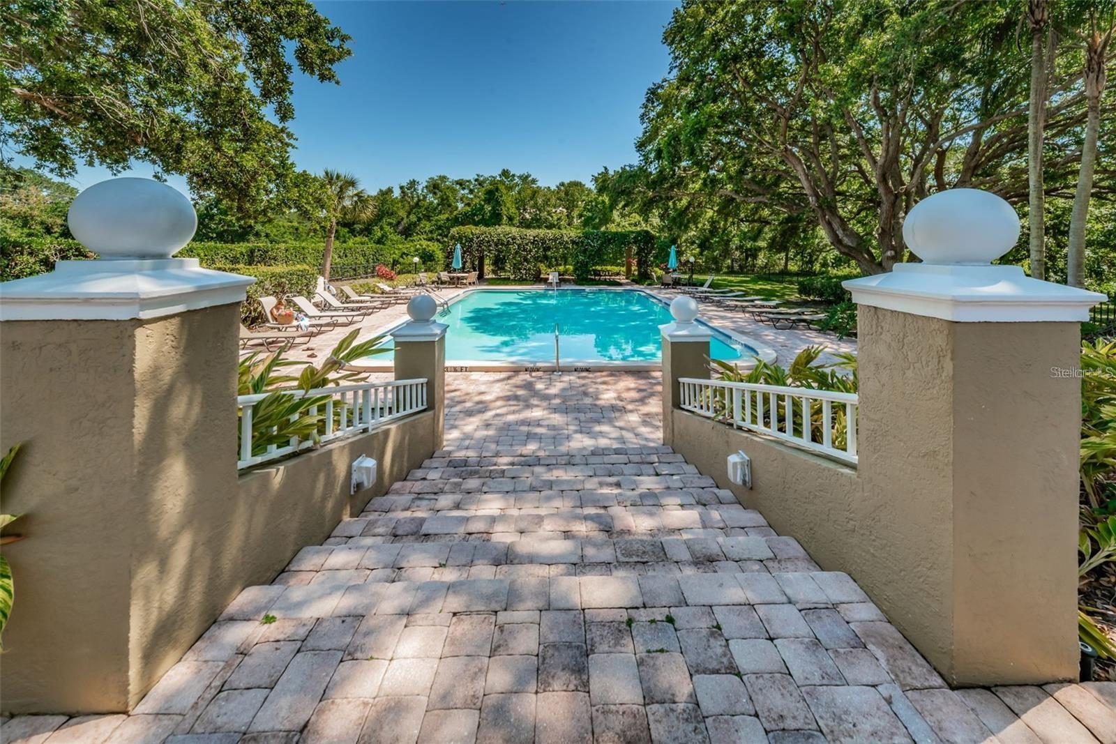 MEADOWLAKE PALM HARBOR CONDO - Residential