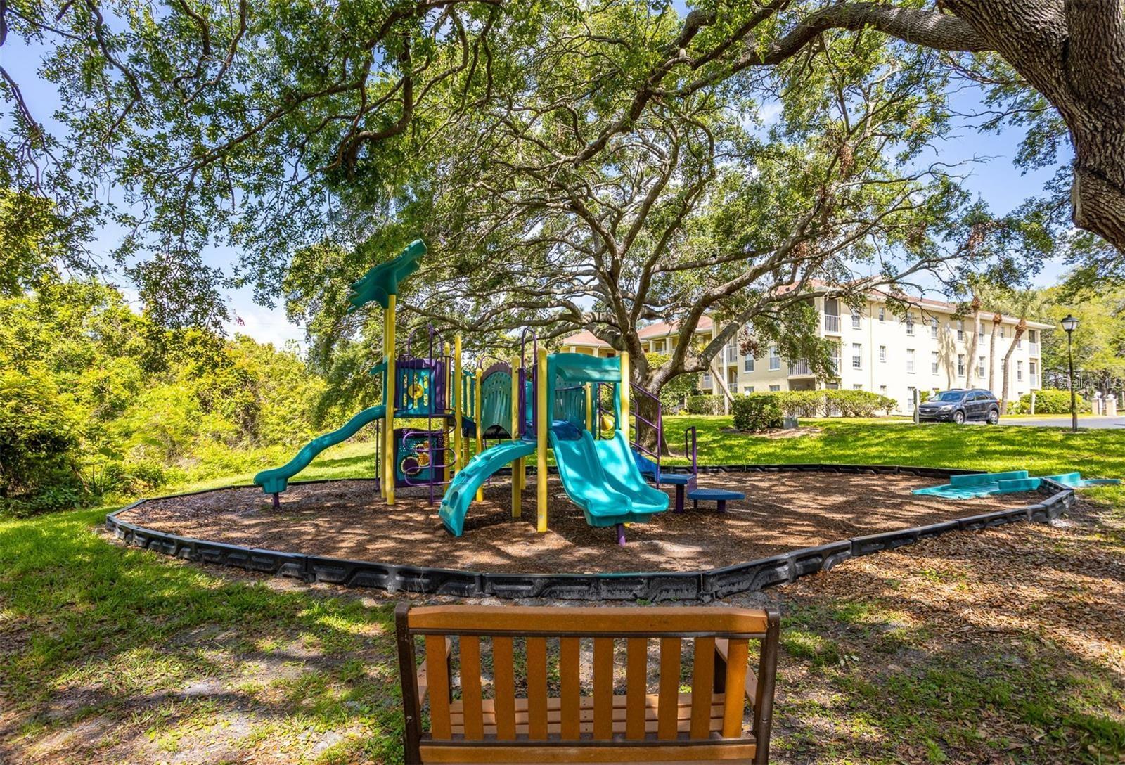 MEADOWLAKE PALM HARBOR CONDO - Residential