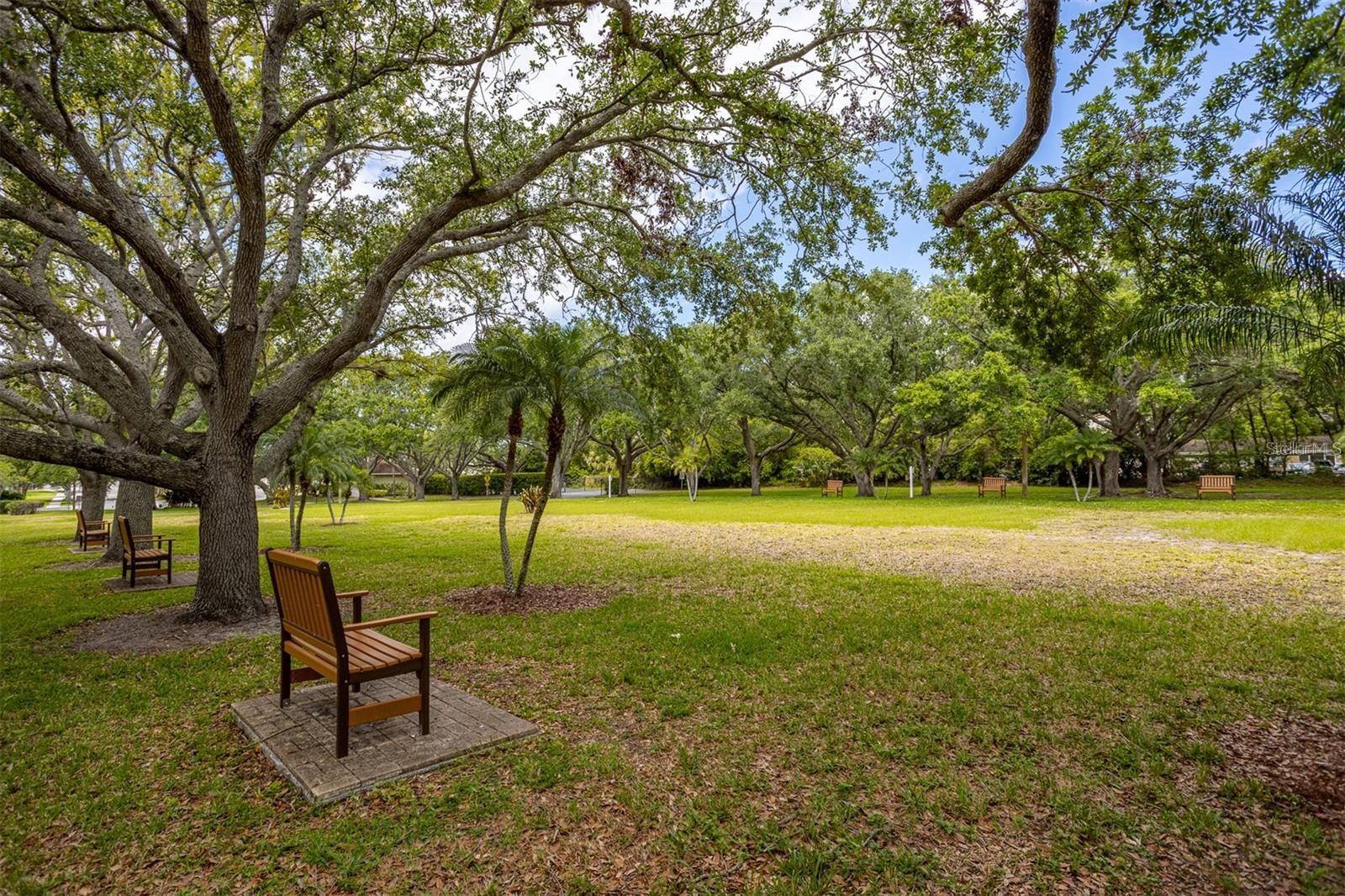 MEADOWLAKE PALM HARBOR CONDO - Residential