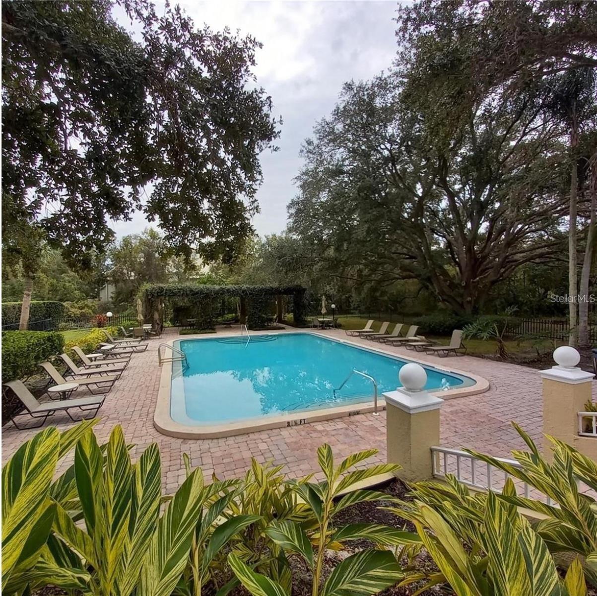 MEADOWLAKE PALM HARBOR CONDO - Residential