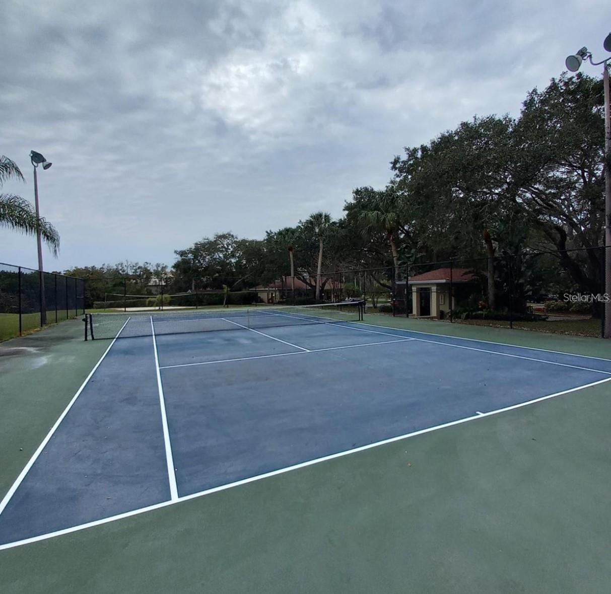 MEADOWLAKE PALM HARBOR CONDO - Residential