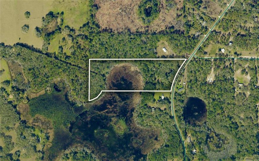 Set on over 12 acres of open, usable land, this A-1 zoned parcel offers a rare opportunity to create a custom farm or private estate without the limitations of deed restrictions. Whether you're planning a horse property, livestock operation, or a peaceful homestead, this property provides the space and flexibility to build exactly what you need. The landscape is largely level and easily workable, offering multiple ideal locations for a home, barn, paddocks, or equipment storage. A naturally occurring, rain-fed pond adds a scenic and practical touch, perfect for attracting wildlife or establishing a quiet corner for relaxation. Utilities are located nearby, and the absence of deed restrictions allows for freedom in layout, building style, and land use. The surrounding area features a mix of working farms and rural estates, preserving the agricultural feel in an area that is ideal for privacy. Located just minutes from Long Lake, and within a short drive of both Ocala and The Villages, this parcel offers the tranquility of country living with convenient access to equestrian venues, supply stores, dining, and daily amenities. Whether you're just starting your farm journey or expanding an existing operation, this property is ready to support your vision from the ground up.