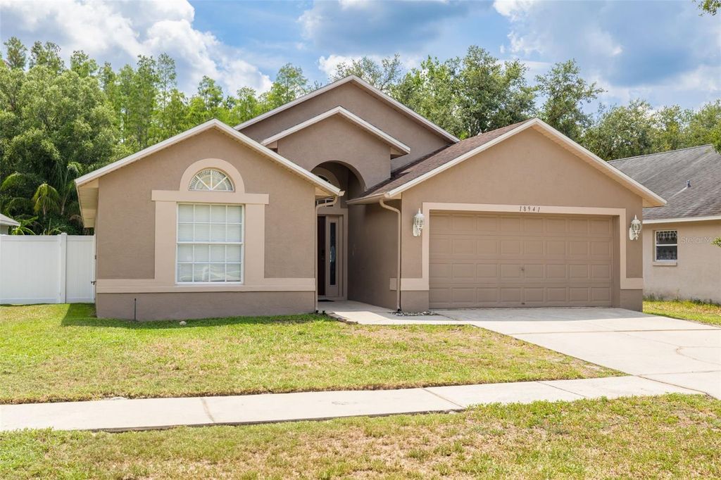 Photo of 18941 Twinberry Drive, Tampa, FL 33647 (MLS # GC531287)