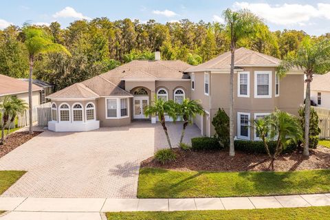 14682 BRADDOCK OAK DRIVE ORLANDO FL 32837