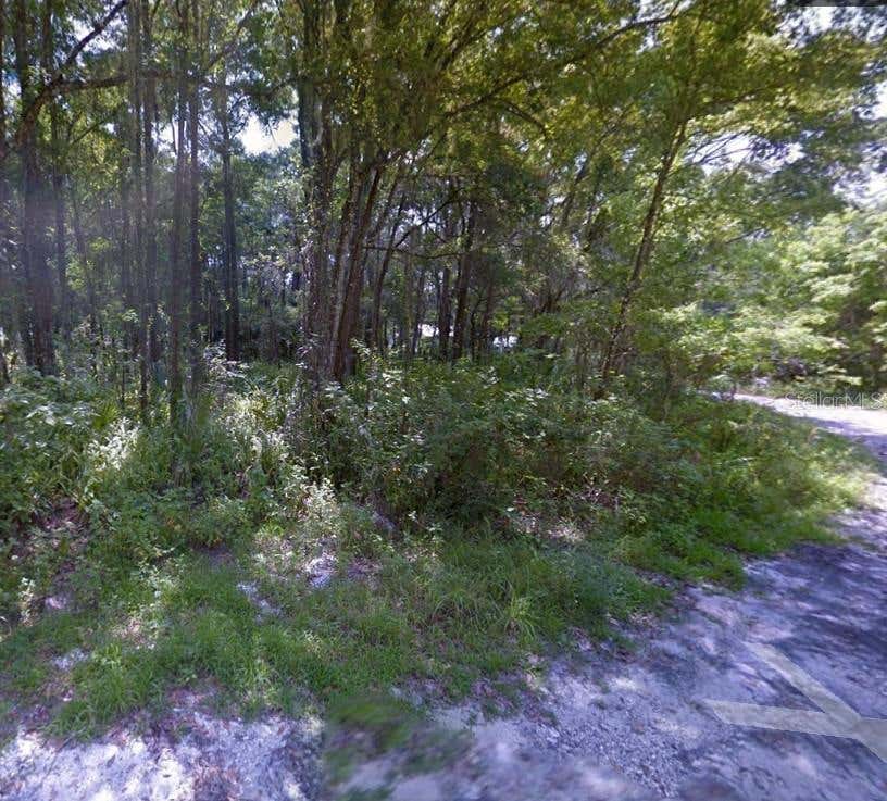 Photo of 00 S Bailey Avenue, Brooksville, FL 34601 (MLS # TB8539953)