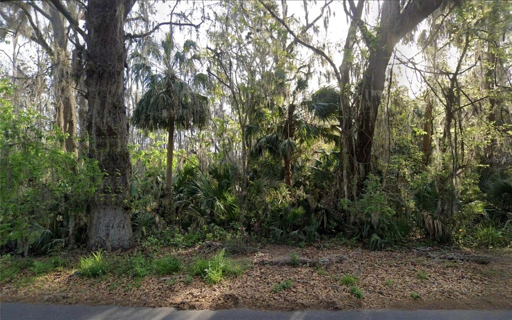 Photo of Sunnyside Drive, Leesburg, FL 34748 (MLS # TB8453085)
