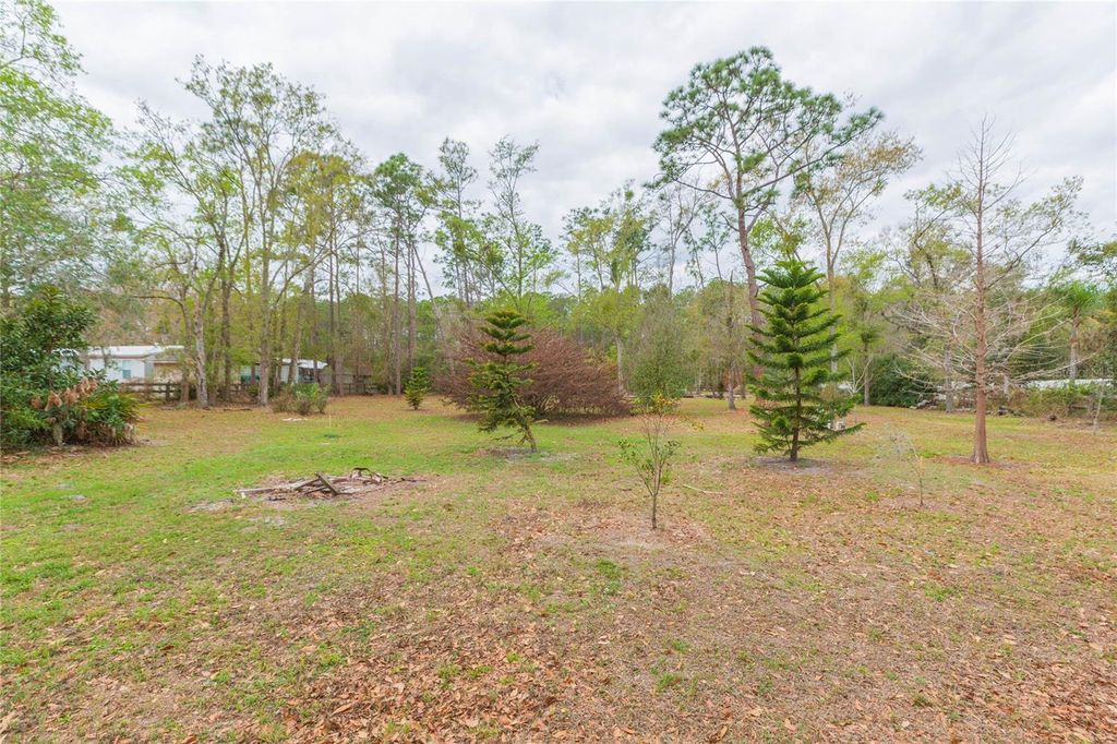 Photo of 4772 Drexel Road, Land O Lakes, FL 34638 (MLS # TB8481275)