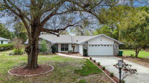 Photo of 6068 W Douneray Loop, Crystal River, FL 34429 (MLS # TB8489469)
