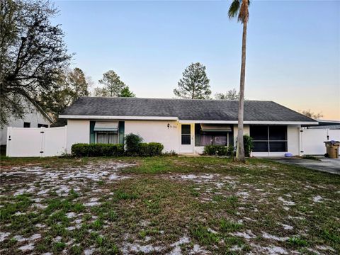 Photo of 34340 Oak Avenue, Leesburg, FL 34788 (MLS # OM720476)