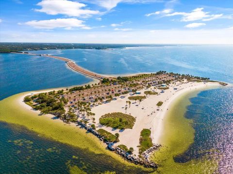 A home in TARPON SPRINGS