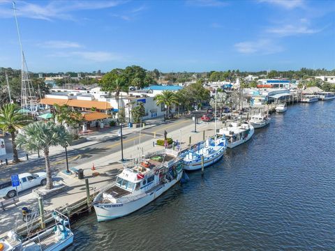 A home in TARPON SPRINGS