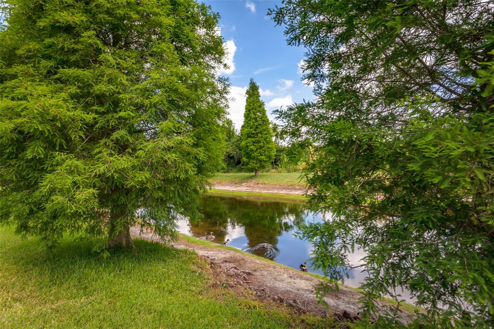 RIVERVIEW LAKES - Residential