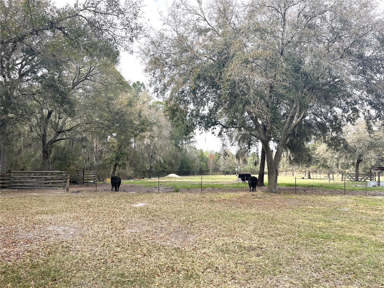 METES AND BOUNDS KING LAKE AREA - Residential