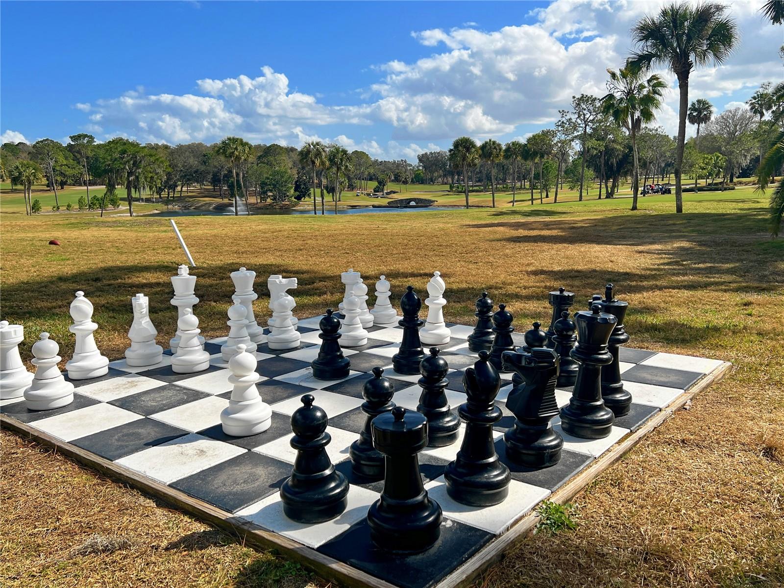 HOWEY GRIFFIN VILLAGE - Residential