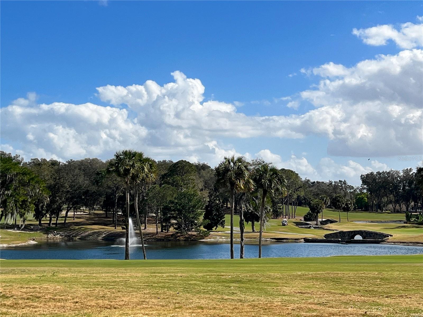 HOWEY GRIFFIN VILLAGE - Residential