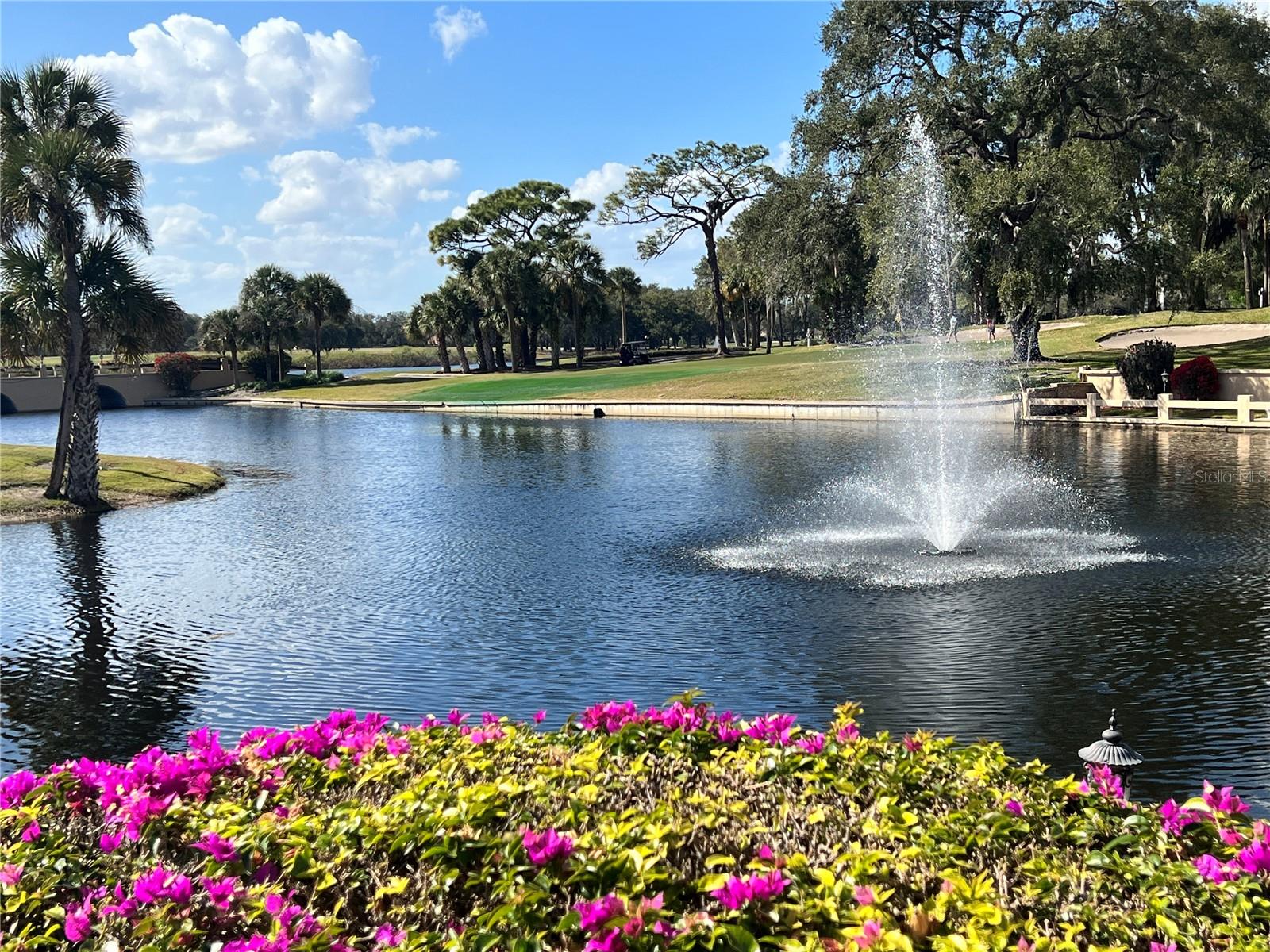 HOWEY GRIFFIN VILLAGE - Residential