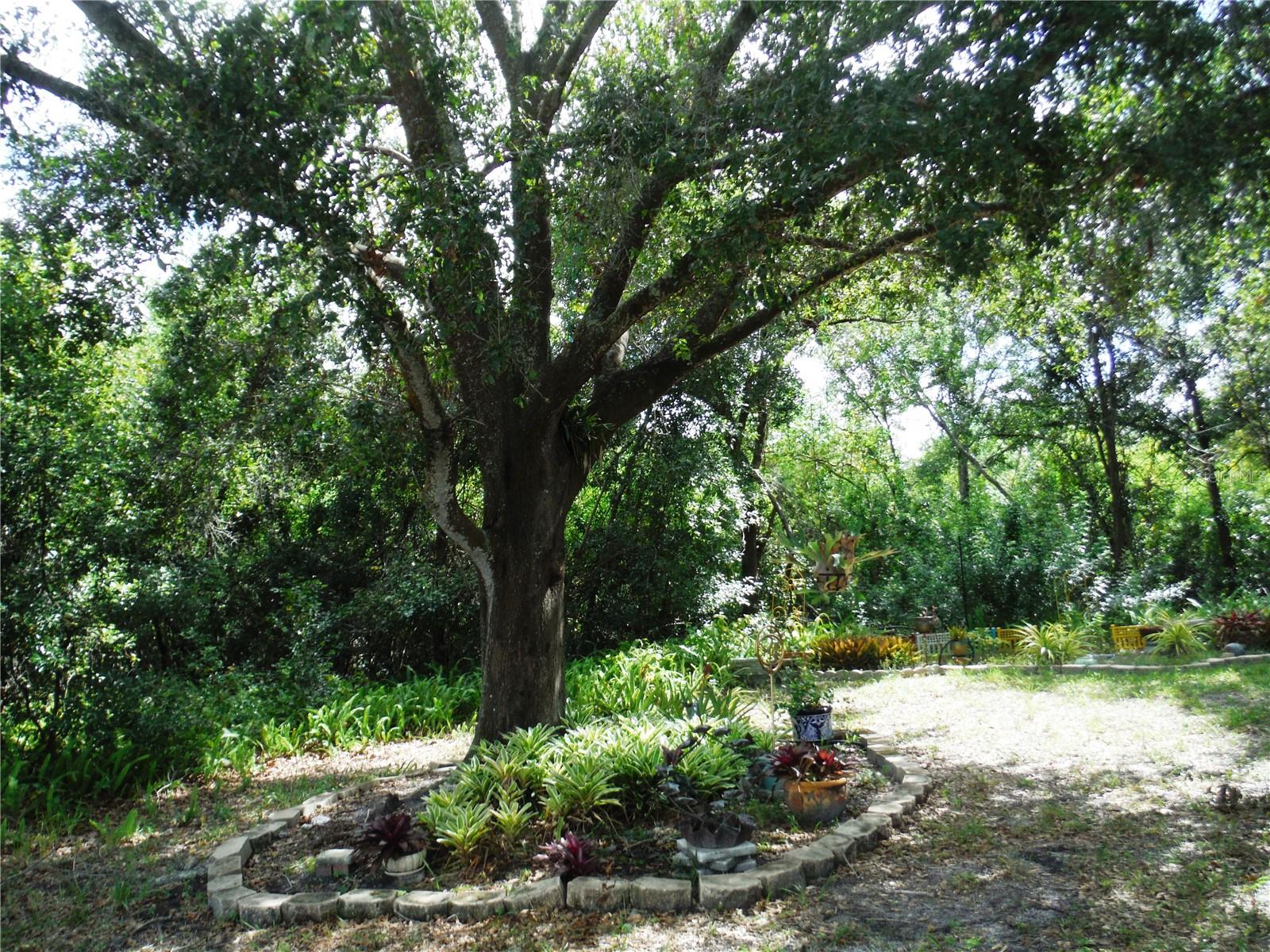 BRIAR CREEK MOBILE HOME COMMUNITY I CONDO - Residential