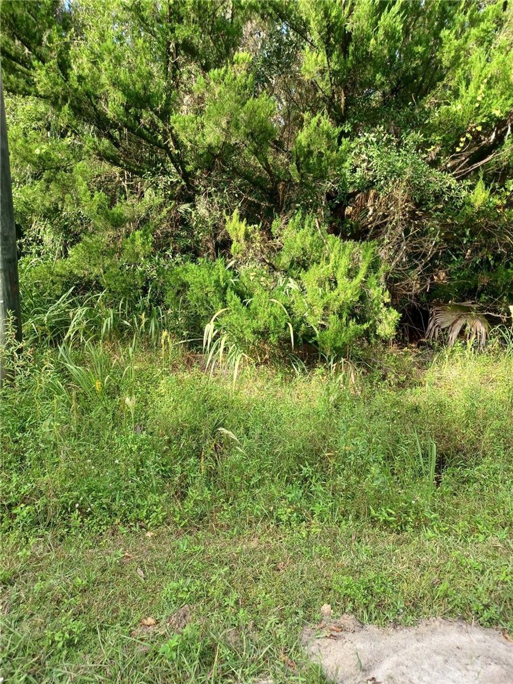 Photo of Winona Drive, Geneva, FL 32732 (MLS # V4945626)