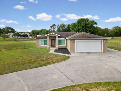 Photo of 31706 Hunt Club Lane, Wesley Chapel, FL 33543 (MLS # TB8495997)