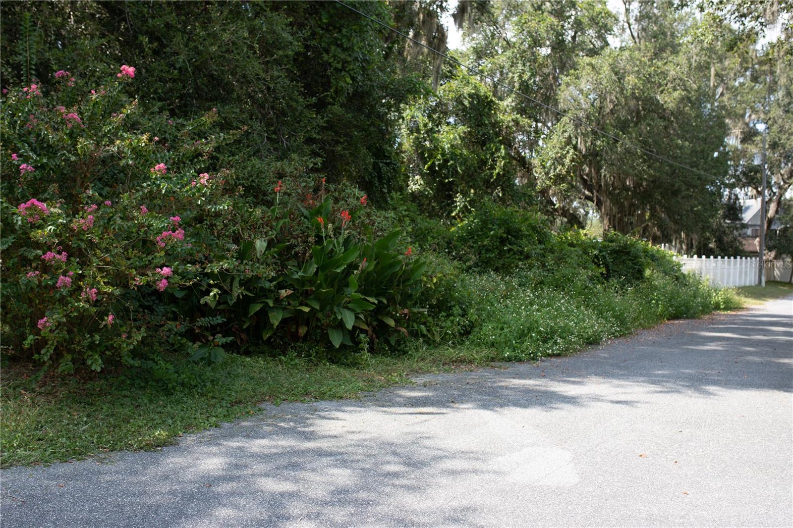 WOODS & LAKES - Residential