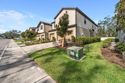 A home in TAMPA