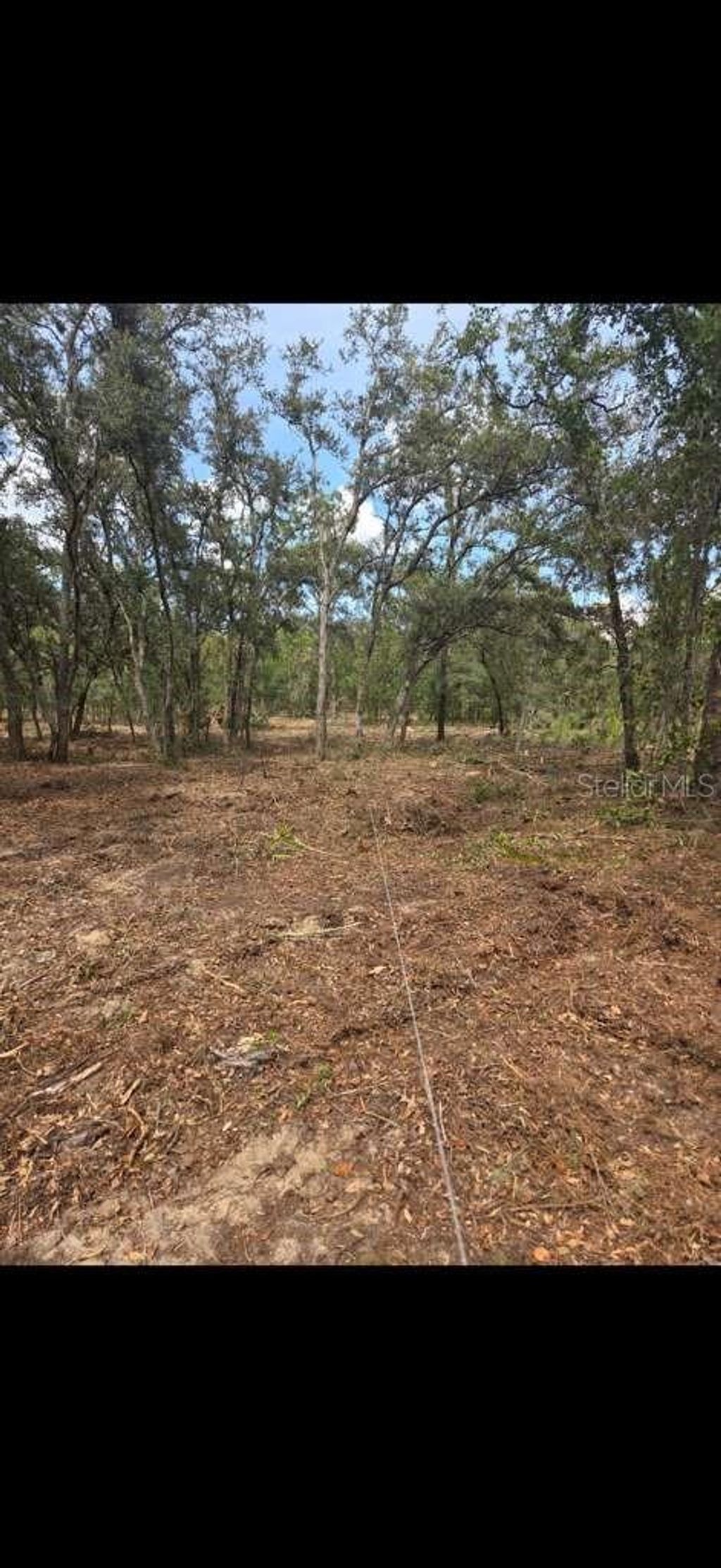 Photo of SE 112 Place, Ocklawaha, FL 32179 (MLS # S5135769)