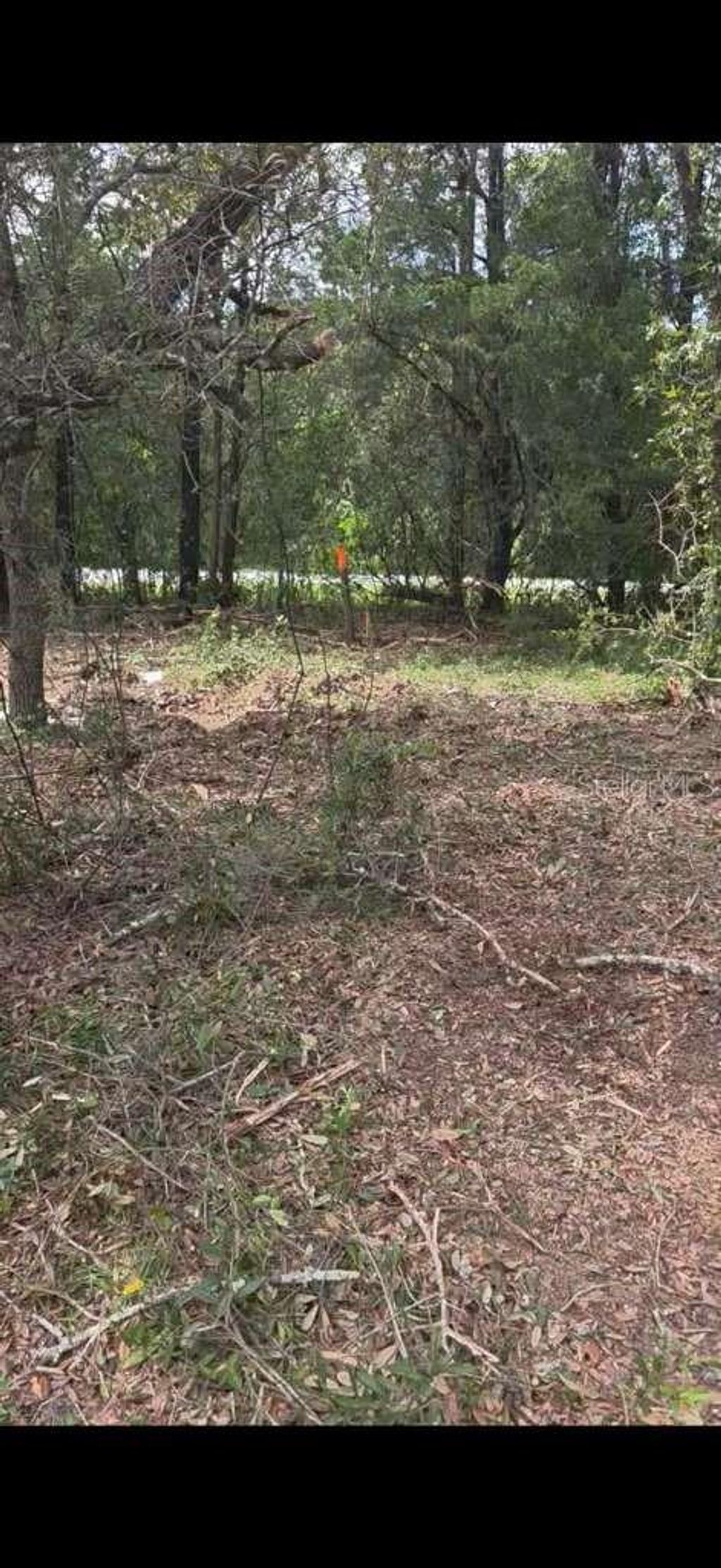 Photo of SE 112 Place, Ocklawaha, FL 32179 (MLS # S5135769)