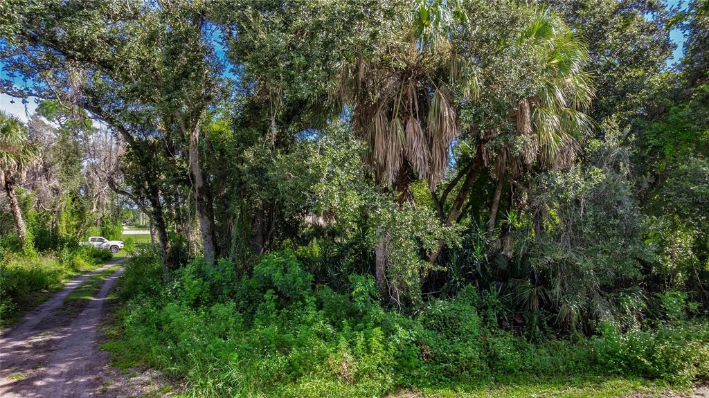 Photo of 1104 Buena Vista Circle, Port Charlotte, FL 33953 (MLS # C7514604)
