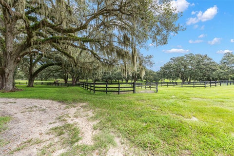 Tiny photo for 15151 NW 162nd Terrace, Williston, FL 32696 (MLS # OM731200)