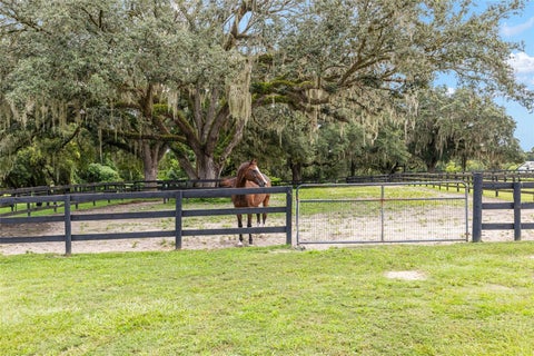 Tiny photo for 15151 NW 162nd Terrace, Williston, FL 32696 (MLS # OM731200)