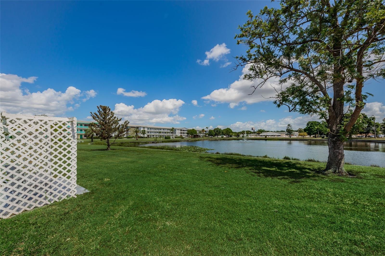 TOWN APTS CONDO - Residential